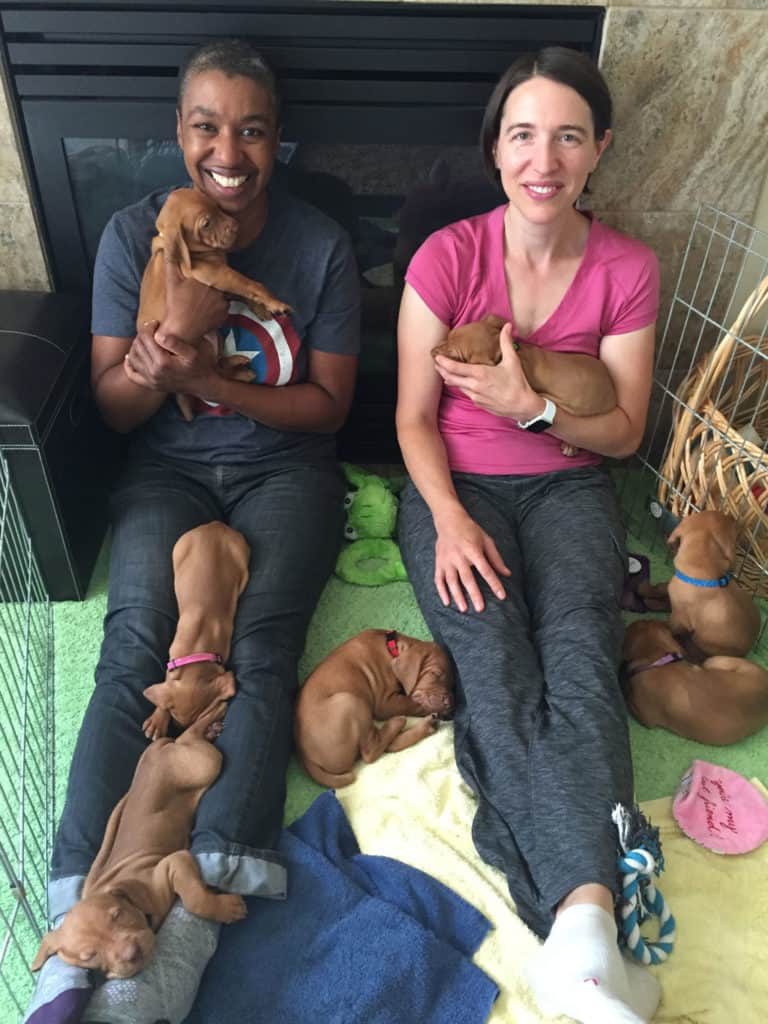 Kronda and Jess with the Written in the Stars litter from Sokoldalu Vizslas