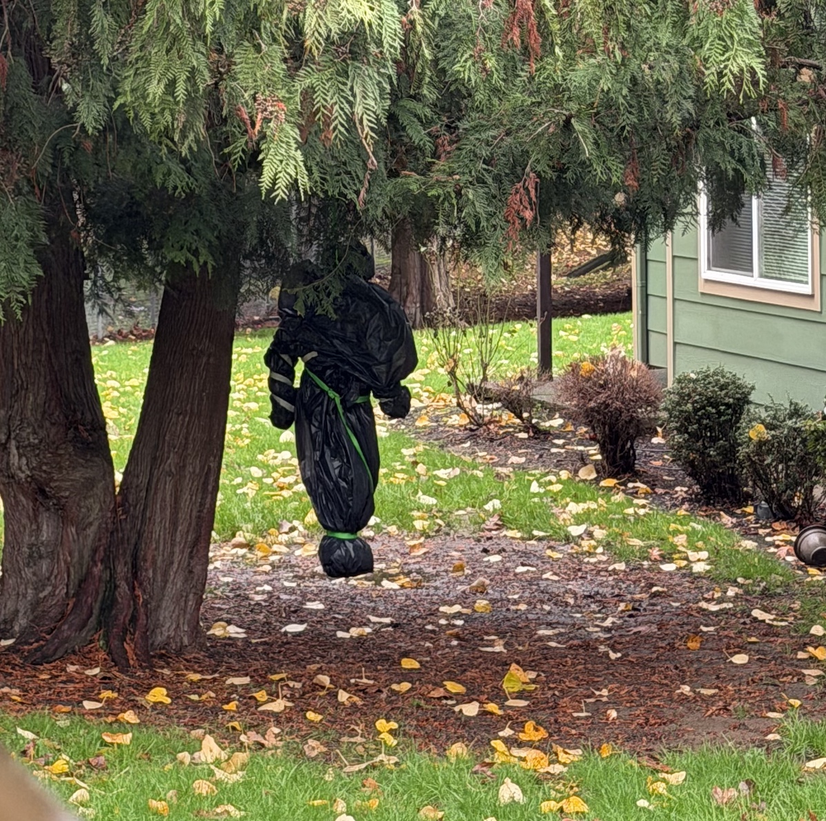 It Didn't Come Out of Nowhere: 10 Years After My Open Letter to My White Friends